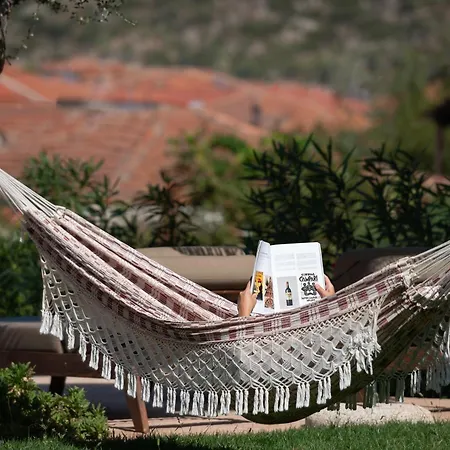 Lithos Apollon * Sykia Chalkidikis