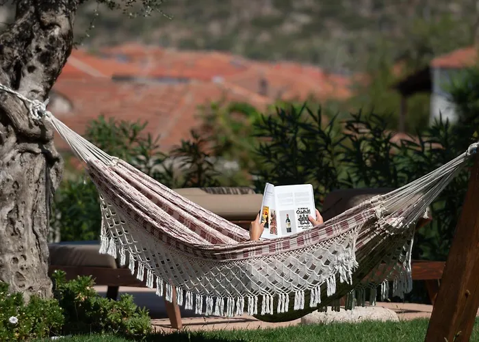 Lithos Apollon * Сикия